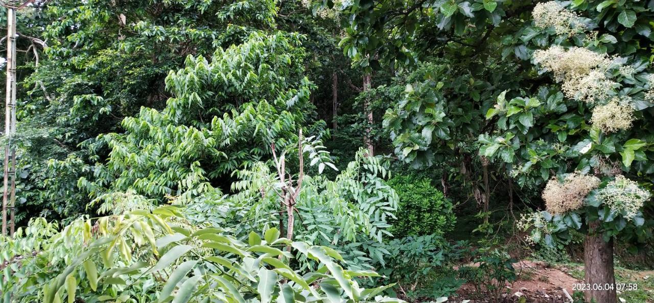 Floral Homestay Thekkady Kültér fotó