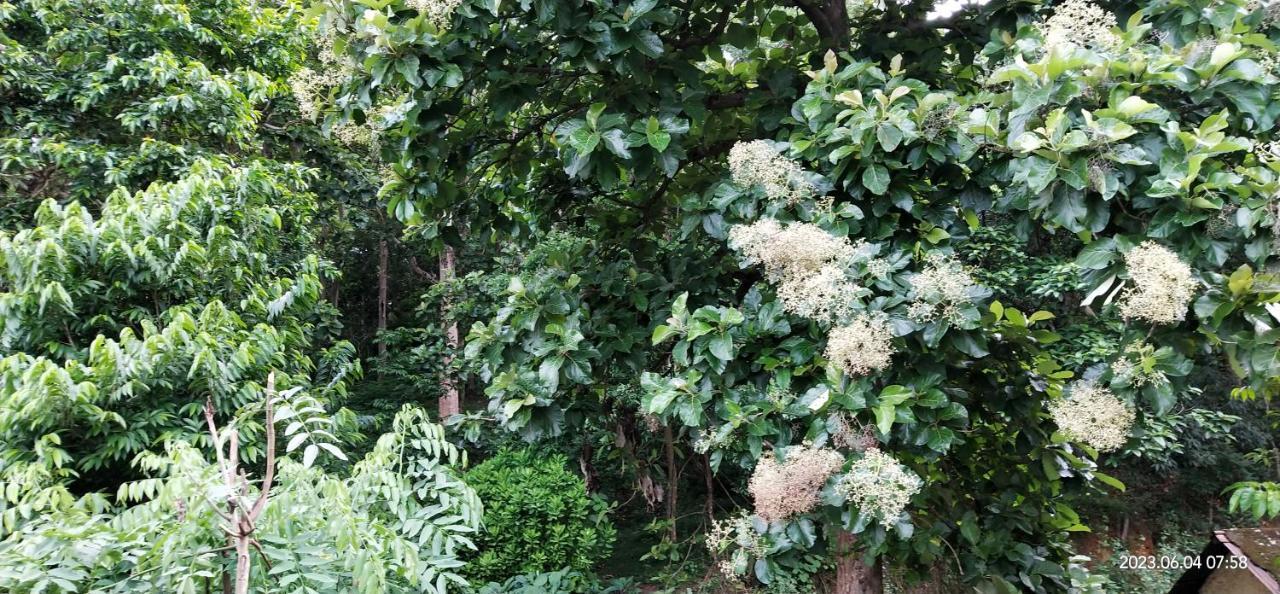 Floral Homestay Thekkady Kültér fotó