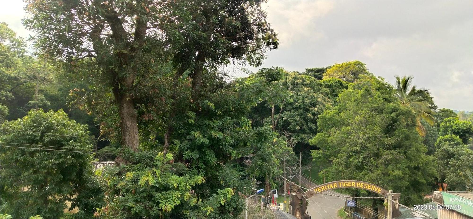 Floral Homestay Thekkady Kültér fotó